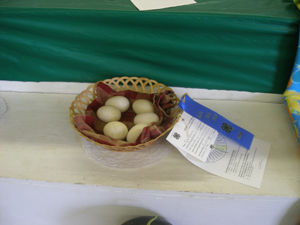 Prize-winning duck eggs