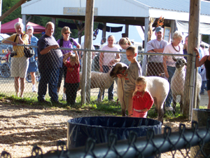 Youngest entrant in the sheep obstacle course