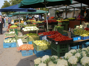 Outdoor market in Martin