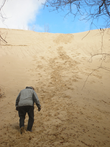 A tough climb in the Indiana Dunes