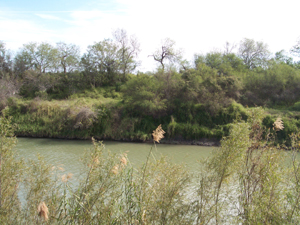 The Rio Grande west of Brownsville Texas