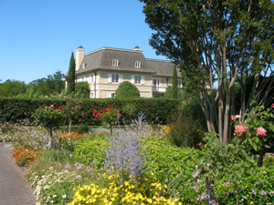 A garden at Kendall-Jackson