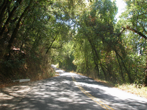Narrow Dry Creek Valley road
