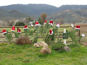 Merry Christmas in Capay Canyon