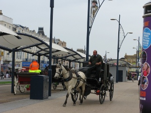 A driver maneuvers his buggy into position in the rank waiting for customers.