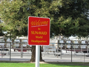 On a green lawn next to a large oak stands a red sign with yellow lettering, 'Welcome to SUN-MAID World Headquarters'
