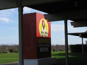 In front of the visitor center is a six foot model of a familiar red and yellow box of Sun-Maid raisins.