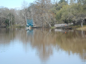 The trees are reflected in the smooth water of the bayou; next to the far bank is a pirogue, distinguished by a sharp pointed bow