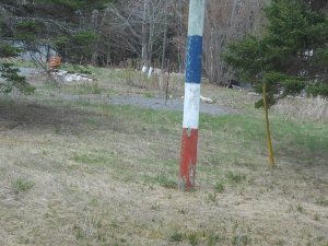 The bottom of a power pole is painted in the three stripes of the Acadian flag.