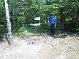 a blue-shirted museum guide stands looking at the hatchet which has just split the chip resting on the stump