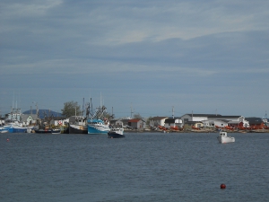 Colorful fishing boats are tied up in the harbor, and white or pastel houses line the shore
