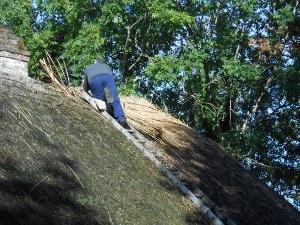 building the roof of a cottage
