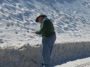 Bob at the side of a dune