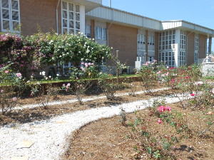 Garden dedicated to Harper Lee