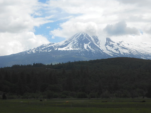 Dark foothills in the foreground and snow covered Mount Shasta pointing up into a bank of white clouds against a pale blue sky