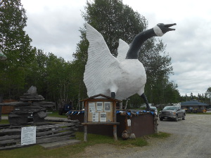 Rising some 30 feet above the ground, the goose has a white body and black neck, with a white ring near the head.