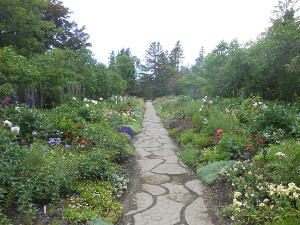 A paved stone garden path leads through a long row of garden beds and flowers.