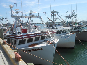 Three identically designed lobster boats are tied up side by side at the pier; they have six small windows across the cabin front and electronic gear mounted topside
