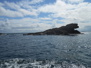A rocky island rising to a sharp peak, atop which are a dozen or so cormorants, barely visible in this picture