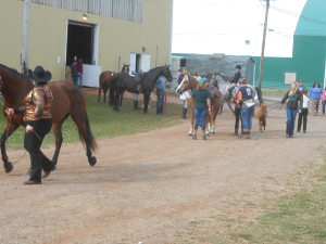 Riders are leading their horses waiting for their class to be called in front of the horse barn