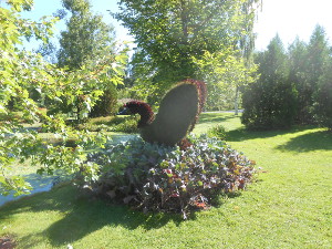 With a dark neck and lighter leaves, the topiary yields a remarkable representation of a goose in flight