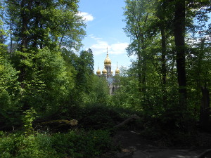 The golden domes of the Russian church are framed by the branches of the lovely green trees atop the hill.