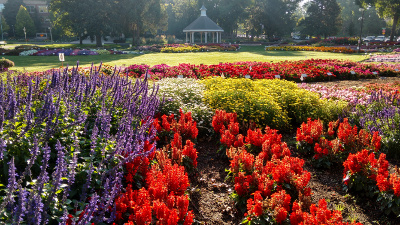 In the foreground are clumps of purple, yellow, red, white, and rose flowers, and behind a green lawn in the distance is a white gazebo.