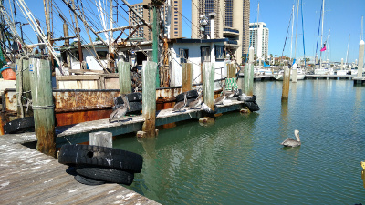 A shrimp boat is tied up at the dock and five pelicans stand watchfully on the dock next to the boat