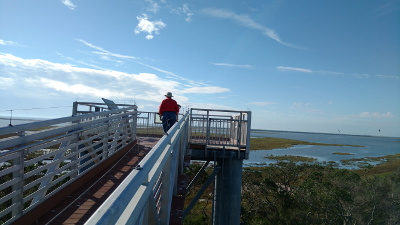 Bob is standing near the middle of the very high platform well above treetop level, with the wetlands and gulf visible in the distance
