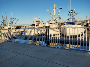 The pier is surfaced with concrete and surrounded by a steel safety fence, beyond which 70-foot fishing boats are arranged, bows facing the pier.