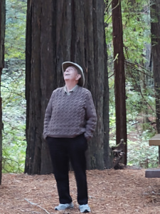 Wearing his Tilly hat and woolen sweater handknit by Elsa, Bob stands in a redwood grove and bends back to try to see the tops of the trees.