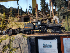 Club members have modeled the wooded coastal forest which was logged by work train for many years in the large G-scale format.  The steam locomotive shows a wealth of detail.