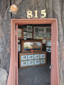 The entrance door has the numerals '815' above the door frame; within can be seen some of the historic photos and exhibits describing the old gas station.