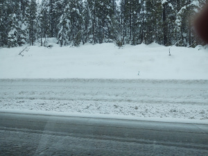 The photo seems monochrome, with dark grey trees and road service and a broad band of white to light gray forming the plowed snowbank.